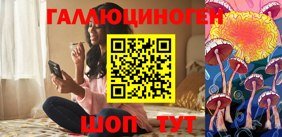 Псилоцибиновые грибы Psilocybe Кизляр