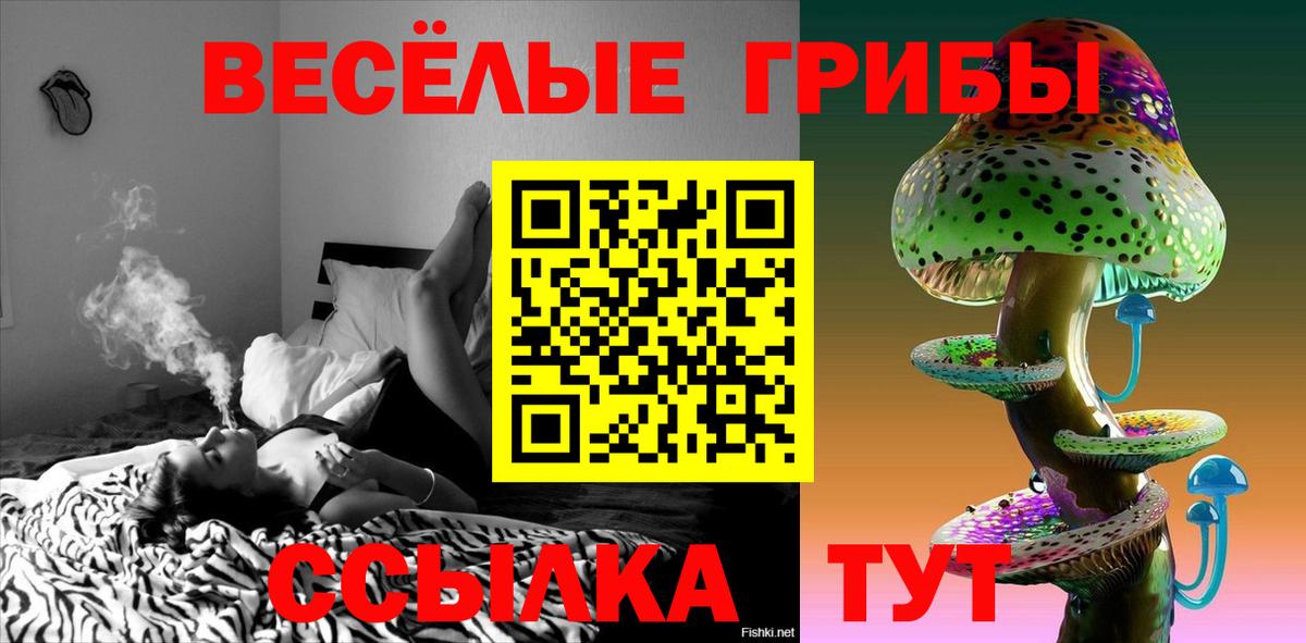 Кизляр  Галлюциногенные грибы Magic Shrooms  Вход с VPN 